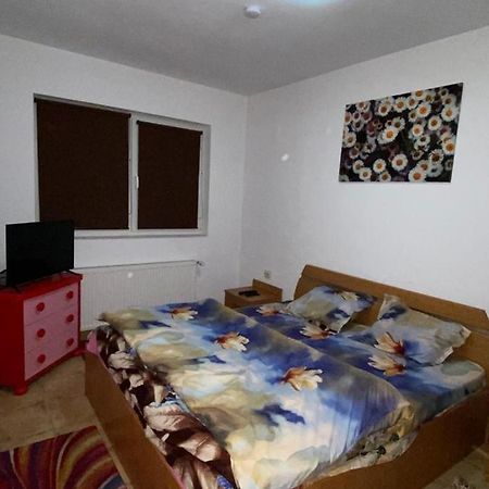 Apartament Apartament Cochet Bukareszt Zewnętrze zdjęcie